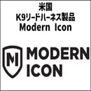 Modern Icon.jpg